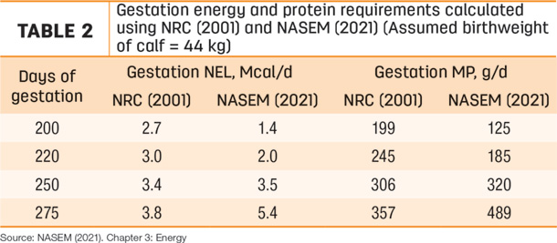 gestation energy and protein requirements 