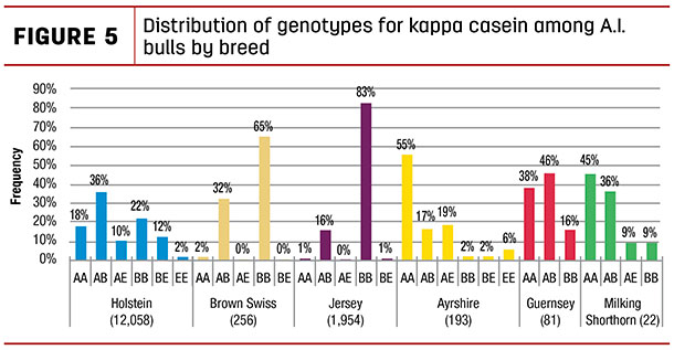 Distribution of genotypes for kappa casein among A.I. bulls by bred