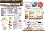 0322fr-maxime-infographic.jpg