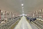 54124-adam-barn.jpg 54124-adam-barn.jpg