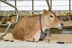 55664-kreuscher-1.jpg