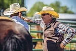 55720-tyler-strategies-1.jpg