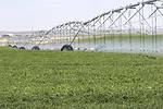 55821-jaynes-irrigation-1.jpg
