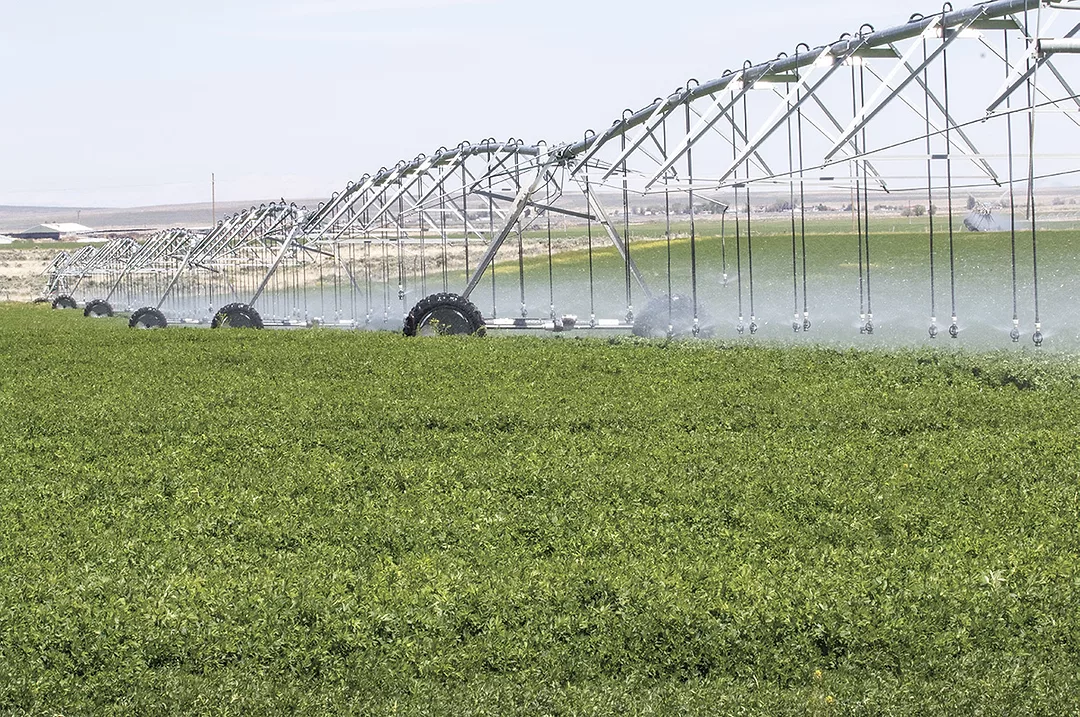 55821-jaynes-irrigation-1.jpg