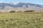 55847-sagers-1.jpg