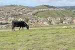 55909-hsu-img2.jpg