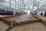55898-biehl-1.jpg