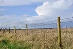 56072---3-Fencing-considerations.jpg