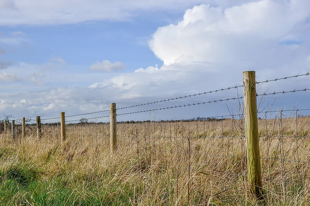 56072---3-Fencing-considerations.jpg