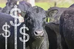 55745-belknap-savings-1.jpg