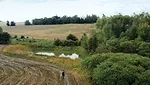 56199-dfc-1.jpg