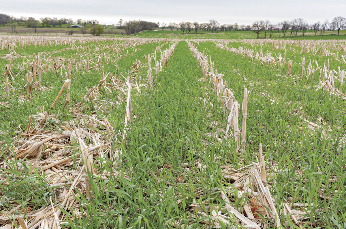 56191-bruce-field.jpg