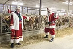 56287-schmitz-santa-0235.jpg