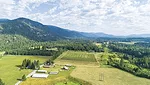 56324-mccarthy-apples-04.jpg