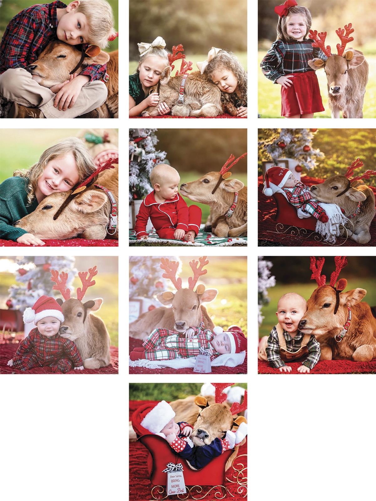 Collage.jpg