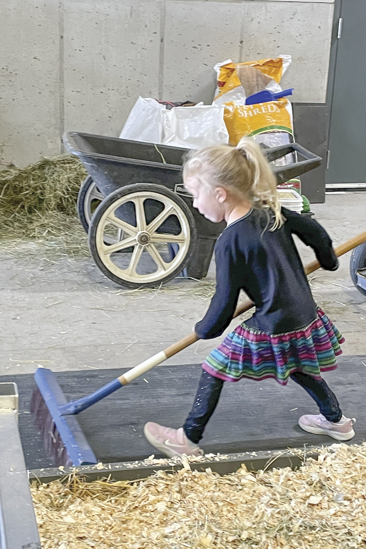 56332-coyne-keepingthingsclean.jpg