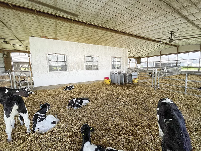 56471-biehl-calf-pen.jpg 56471-biehl-calf-pen.jpg