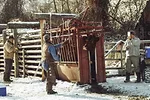 56493-thomas-chute-needle.jpg