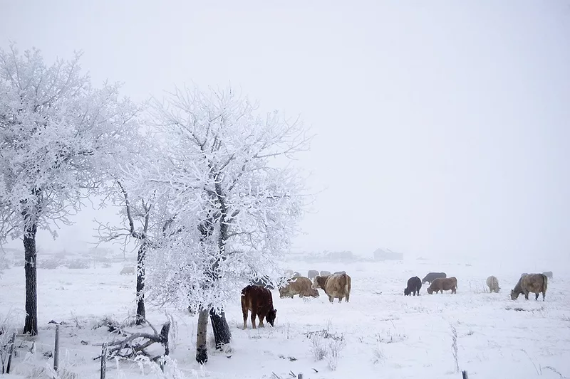 56343-marchant-cold-outside.jpg 56343-marchant-cold-outside.jpg