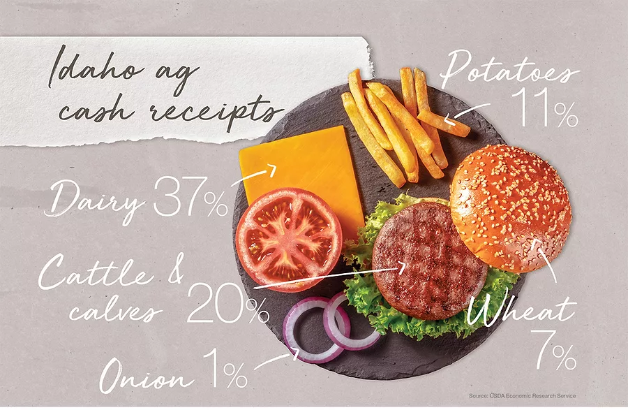 56539-idaho-cash-receipts.jpg