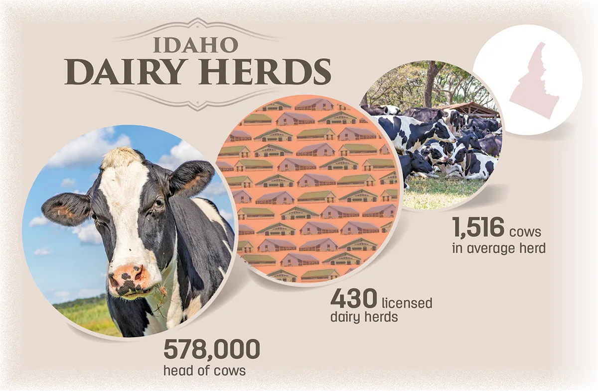 56539-idaho-dairy-herds.4x5.25.jpg