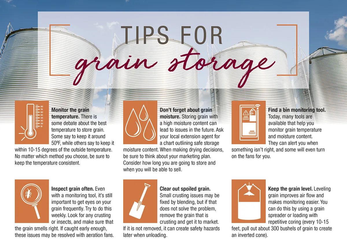 56539-tips-for-grain-storage.jpg