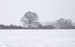 56563-kern-lunsbery-snow-field.jpg