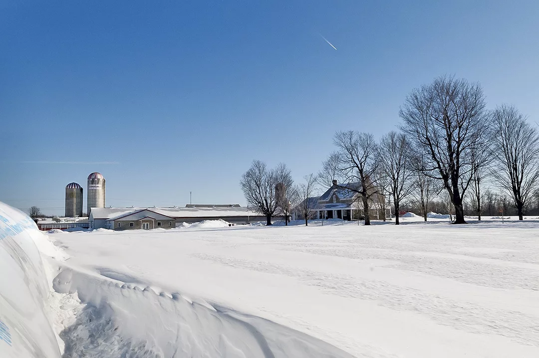 56587-azocar-DeLaval-winter.jpg