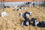 0622fr-filteau-1.jpg