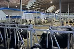 0622fr-gerbitz-1.jpg