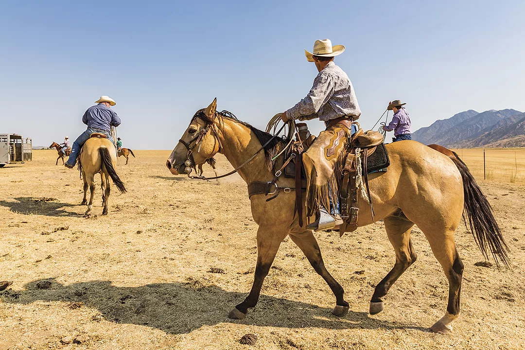 56570-machen-ranch-hands.jpg