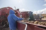 56654-williams-brackett-workers.jpg