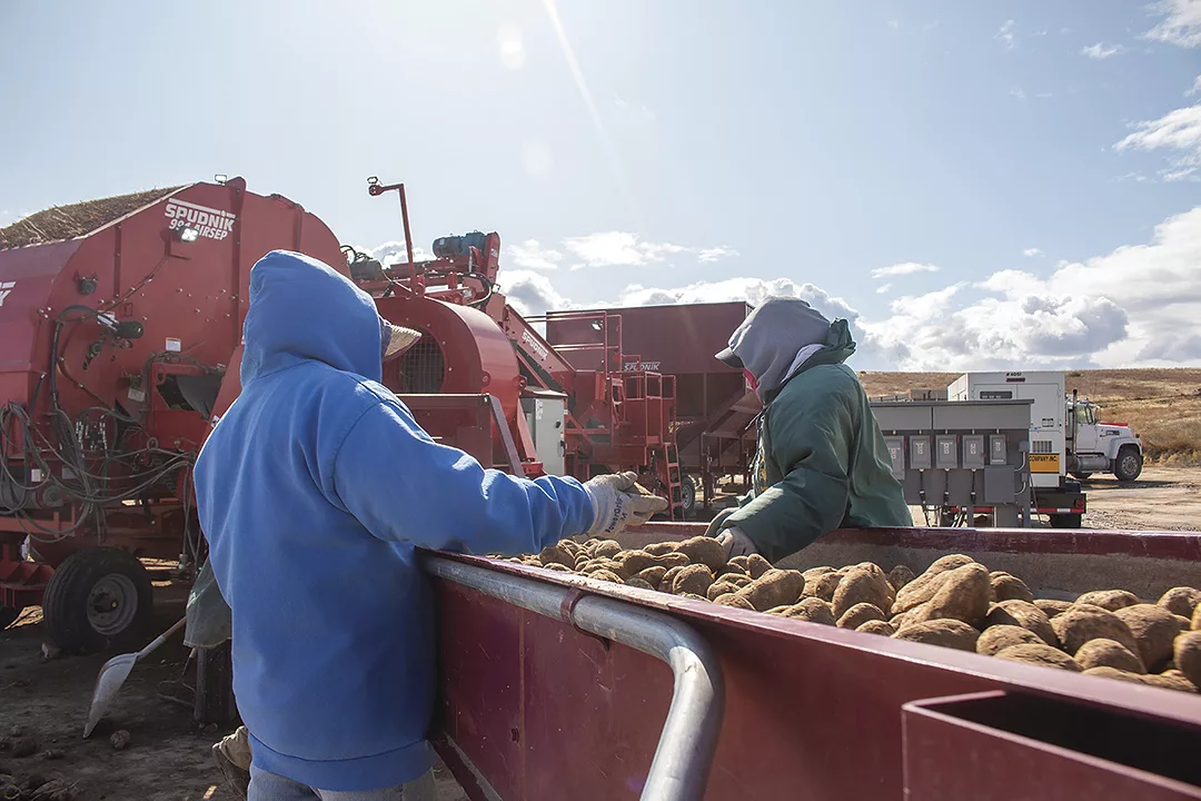 56654-williams-brackett-workers.jpg