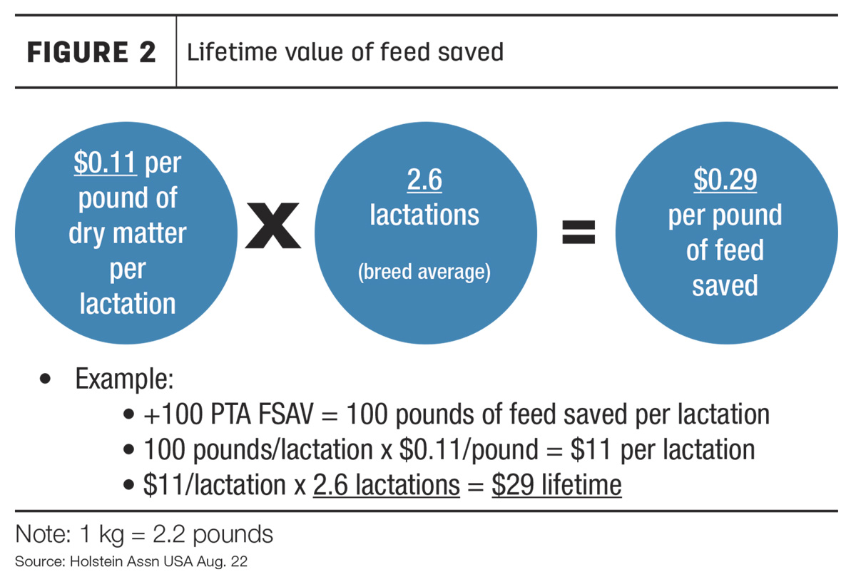 56661-Schirm-fig2.jpg