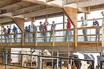 56674-devaney-boadwine-Farms-platform.jpg