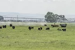 56717-brackett-pivot.jpg