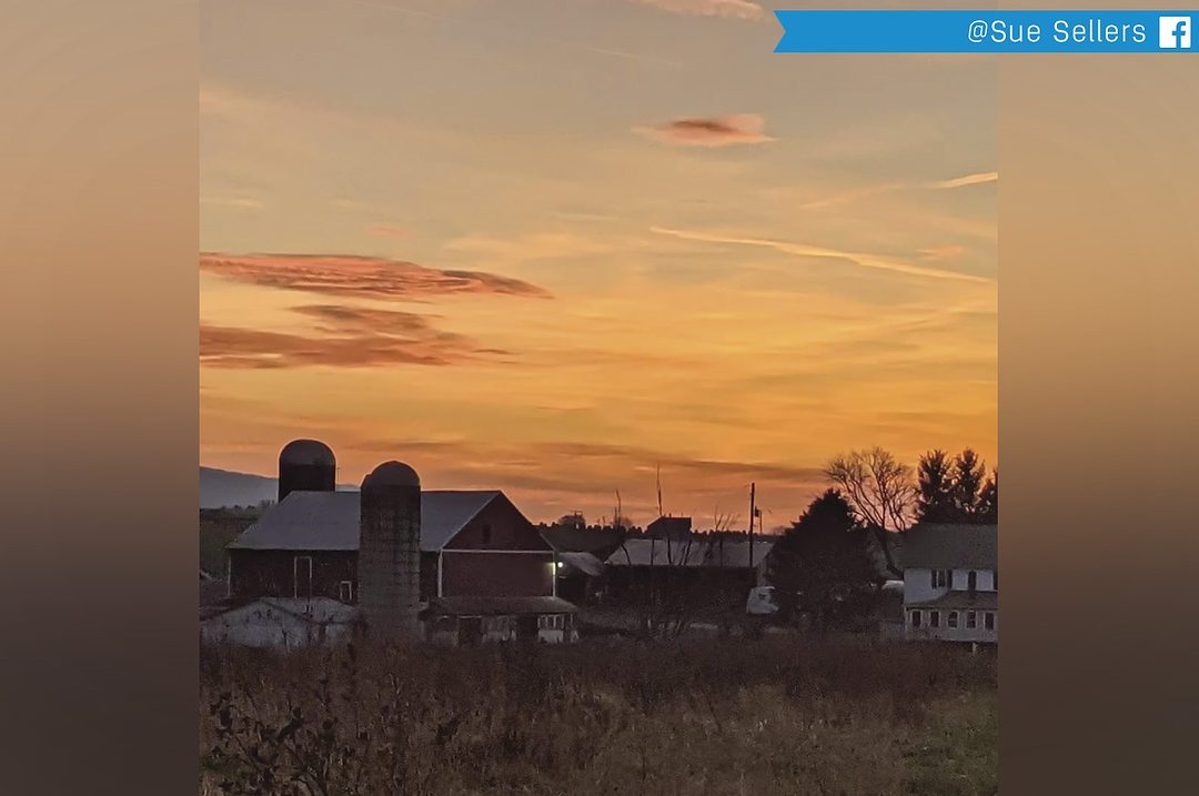 2022's dairy year in review: Colliding consequences | Ag Proud
