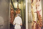 56705-omeara-slaughter-1.jpg