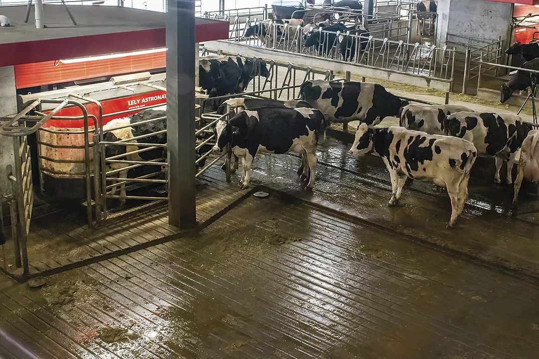 56815-guyer-lely-cooley.jpg