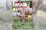 0223pf-digital-edition-feature-spot.jpg