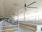 56866-mcbay-freestall-fans.jpg