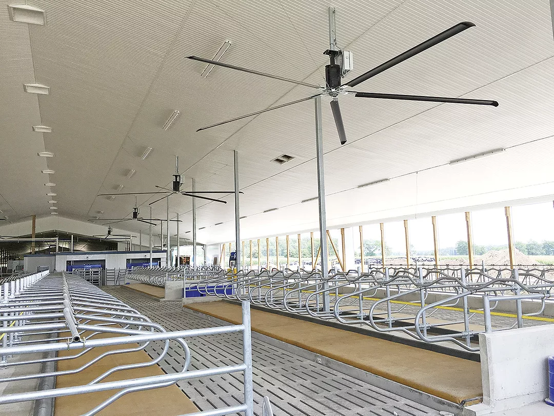 56866-mcbay-freestall-fans.jpg