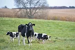 0223fr-derksen-1.jpg