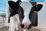 56961-burton-instragram.jpg