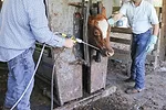 56981-wade-deworming.jpg