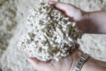 56999-Stewart-Whole-Cottonseed-In-Hands.jpg