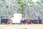 57016-belknap-AdobeStock_565262559.jpg