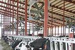 0616PD.abbott-koch-Cooling-fans.jpg