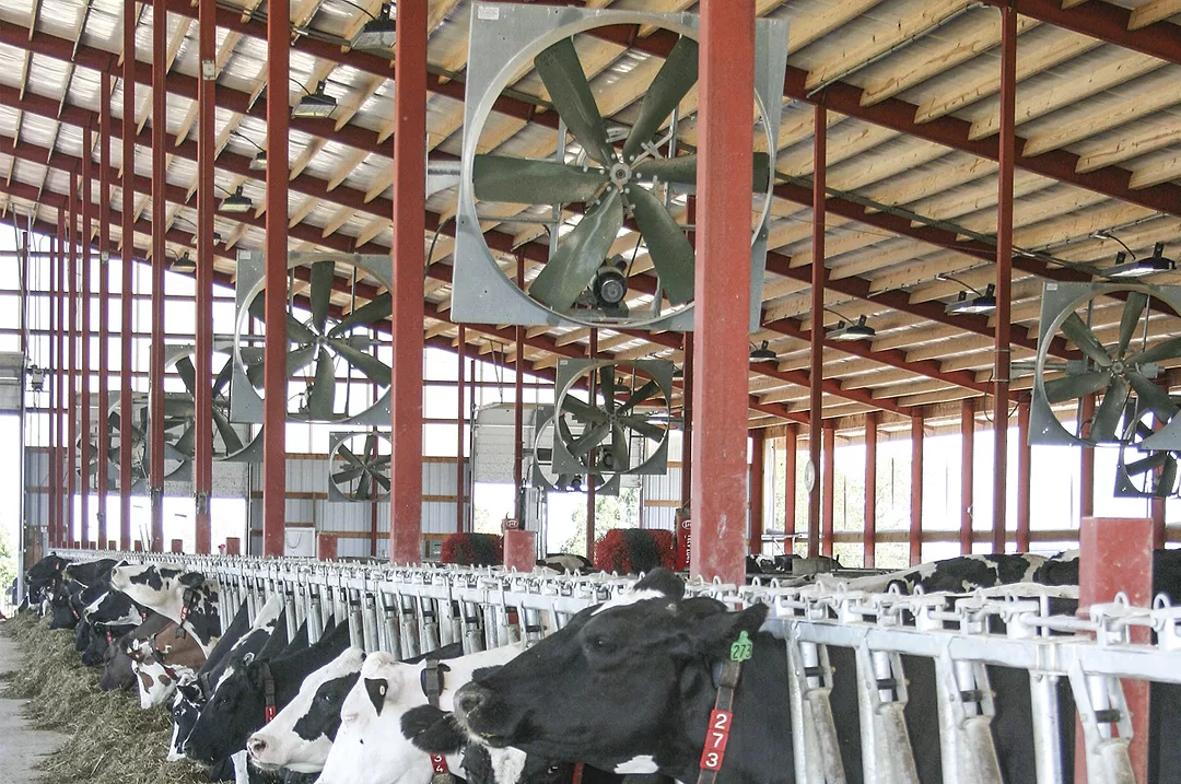 0616PD.abbott-koch-Cooling-fans.jpg