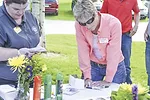38015-abbott-1618pd-wde-lois.jpg